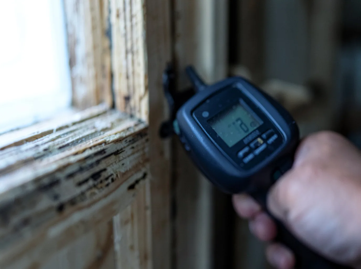 Moisture Inspection And Documentation in Excelsior, MN